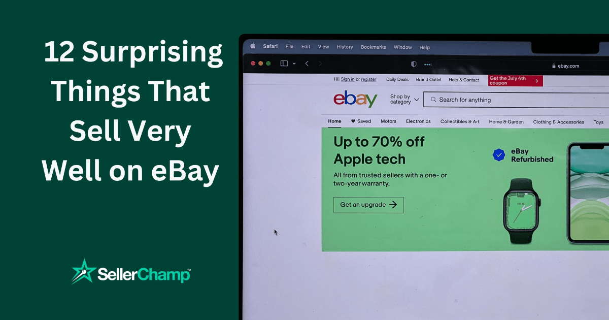 surprising things that sell well on ebay